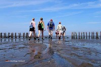 Hotel Waddenweelde ist der offizielle Startpunkt von Wattwandern Pieterburen Holland